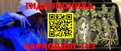 jwh Заволжье