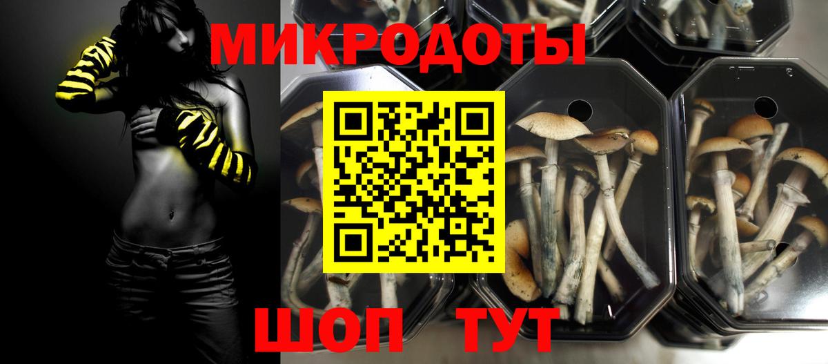 продажа наркотиков  Псилоцибиновые грибы прущие грибы  Вход с VPN  Кунгур 